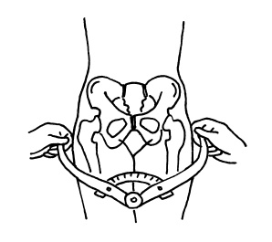 Иллюстрация к книге — Буду мамой! Все о беременности и первом годе жизни малыша. 1000 ответов на 1000 главных вопросов [i_038.jpg]