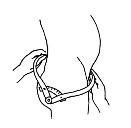 Иллюстрация к книге — Буду мамой! Все о беременности и первом годе жизни малыша. 1000 ответов на 1000 главных вопросов [i_039.jpg]