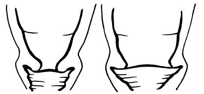 Иллюстрация к книге — Буду мамой! Все о беременности и первом годе жизни малыша. 1000 ответов на 1000 главных вопросов [i_041.jpg]