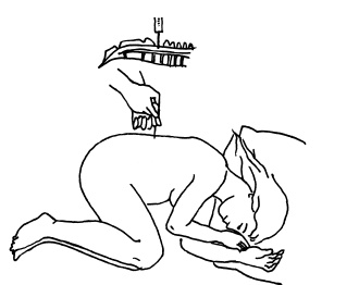 Иллюстрация к книге — Буду мамой! Все о беременности и первом годе жизни малыша. 1000 ответов на 1000 главных вопросов [i_058.jpg]