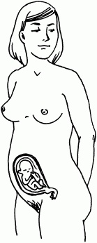 Иллюстрация к книге — 1001 вопрос будущей мамы. Большая книга ответов на все вопросы [i_008.jpg]