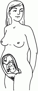 Иллюстрация к книге — 1001 вопрос будущей мамы. Большая книга ответов на все вопросы [i_009.jpg]