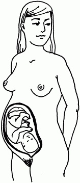 Иллюстрация к книге — 1001 вопрос будущей мамы. Большая книга ответов на все вопросы [i_010.jpg]