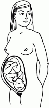 Иллюстрация к книге — 1001 вопрос будущей мамы. Большая книга ответов на все вопросы [i_011.jpg]