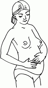 Иллюстрация к книге — 1001 вопрос будущей мамы. Большая книга ответов на все вопросы [i_013.jpg]