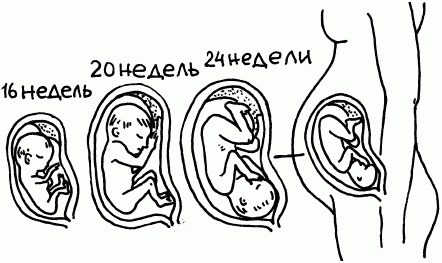 Иллюстрация к книге — 1001 вопрос будущей мамы. Большая книга ответов на все вопросы [i_023.jpg]