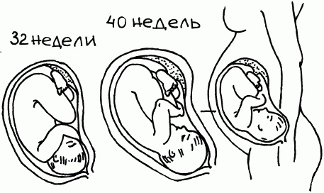 Иллюстрация к книге — 1001 вопрос будущей мамы. Большая книга ответов на все вопросы [i_027.jpg]