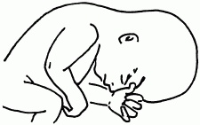 Иллюстрация к книге — 1001 вопрос будущей мамы. Большая книга ответов на все вопросы [i_028.jpg]