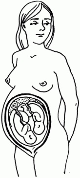 Иллюстрация к книге — 1001 вопрос будущей мамы. Большая книга ответов на все вопросы [i_029.jpg]