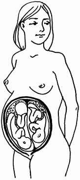 Иллюстрация к книге — 1001 вопрос будущей мамы. Большая книга ответов на все вопросы [i_030.jpg]