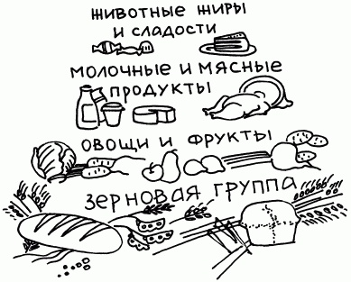 Иллюстрация к книге — 1001 вопрос будущей мамы. Большая книга ответов на все вопросы [i_037.jpg]