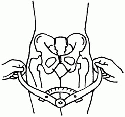 Иллюстрация к книге — 1001 вопрос будущей мамы. Большая книга ответов на все вопросы [i_057.jpg]