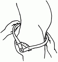 Иллюстрация к книге — 1001 вопрос будущей мамы. Большая книга ответов на все вопросы [i_058.jpg]