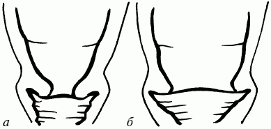 Иллюстрация к книге — 1001 вопрос будущей мамы. Большая книга ответов на все вопросы [i_060.jpg]