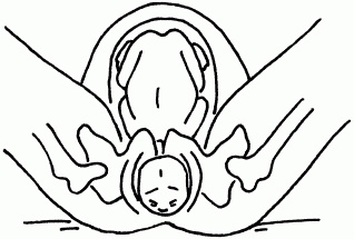 Иллюстрация к книге — 1001 вопрос будущей мамы. Большая книга ответов на все вопросы [i_063.jpg]