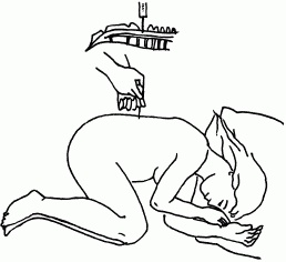 Иллюстрация к книге — 1001 вопрос будущей мамы. Большая книга ответов на все вопросы [i_077.jpg]