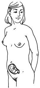 Иллюстрация к книге — Все, что будущая мама хочет знать, но не знает, у кого спросить [i_007.jpg]