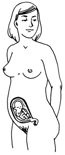 Иллюстрация к книге — Все, что будущая мама хочет знать, но не знает, у кого спросить [i_008.jpg]