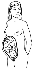 Иллюстрация к книге — Все, что будущая мама хочет знать, но не знает, у кого спросить [i_011.jpg]