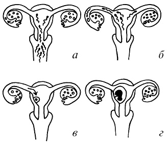 Иллюстрация к книге — Все, что будущая мама хочет знать, но не знает, у кого спросить [i_016.jpg]