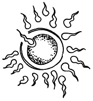 Иллюстрация к книге — Все, что будущая мама хочет знать, но не знает, у кого спросить [i_017.jpg]