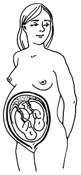 Иллюстрация к книге — Все, что будущая мама хочет знать, но не знает, у кого спросить [i_024.jpg]