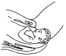 Иллюстрация к книге — Все, что будущая мама хочет знать, но не знает, у кого спросить [i_042.jpg]