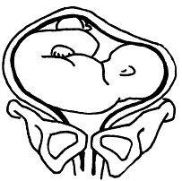 Иллюстрация к книге — Все, что будущая мама хочет знать, но не знает, у кого спросить [i_045.jpg]