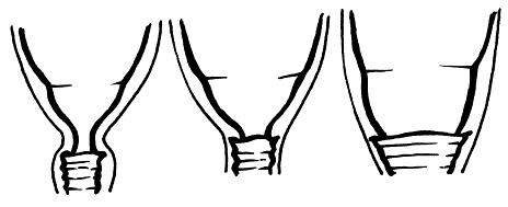 Иллюстрация к книге — Все, что будущая мама хочет знать, но не знает, у кого спросить [i_051.jpg]