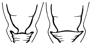 Иллюстрация к книге — Все, что будущая мама хочет знать, но не знает, у кого спросить [i_052.jpg]