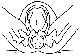 Иллюстрация к книге — Все, что будущая мама хочет знать, но не знает, у кого спросить [i_055.jpg]