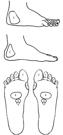 Иллюстрация к книге — Сексуальное здоровье мужчины и женщины. Эффективные методы лечения и профилактики заболеваний [imgC9F5.jpg]