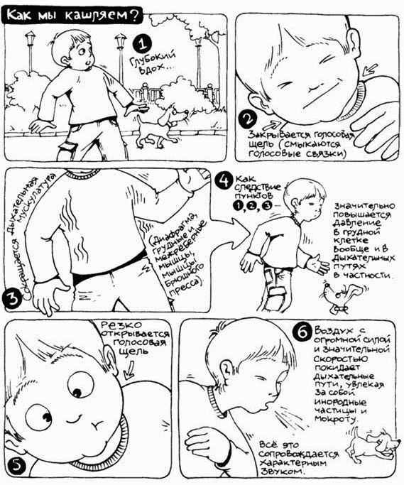 Иллюстрация к книге — Книга от кашля. О детском кашле для мам и пап [i_005.jpg]