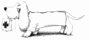 Иллюстрация к книге — Неотложная помощь. Справочник для родителей. Всегда под рукой [i_001.jpg]