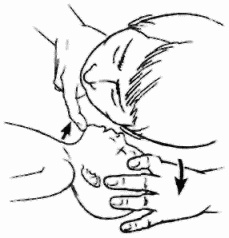 Иллюстрация к книге — Неотложная помощь. Справочник для родителей. Всегда под рукой [i_011.jpg]