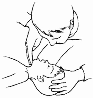 Иллюстрация к книге — Неотложная помощь. Справочник для родителей. Всегда под рукой [i_012.jpg]