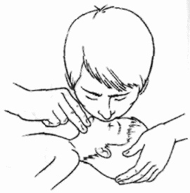 Иллюстрация к книге — Неотложная помощь. Справочник для родителей. Всегда под рукой [i_016.jpg]