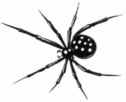 Иллюстрация к книге — Неотложная помощь. Справочник для родителей. Всегда под рукой [i_081.jpg]