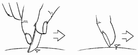 Иллюстрация к книге — Неотложная помощь. Справочник для родителей. Всегда под рукой [i_083.jpg]