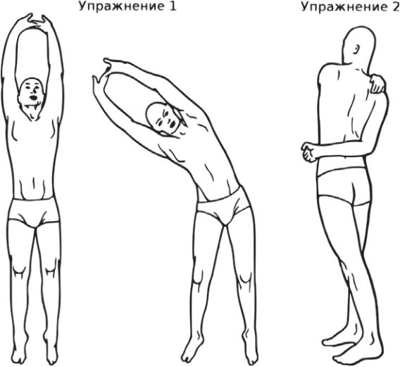 Иллюстрация к книге — Сыроедение против предрассудков. Эволюция в питании человека [i_023.jpg]