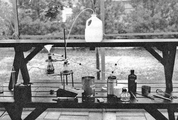 Иллюстрация к книге — Тайны мозга вашего ребенка [_34.jpg]