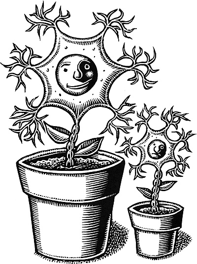 Иллюстрация к книге — Тайны мозга вашего ребенка [_43.jpg]