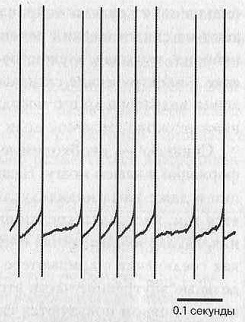 Иллюстрация к книге — Тайны нашего мозга, или Почему умные люди делают глупости [i_003.jpg]