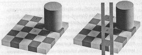 Иллюстрация к книге — Тайны нашего мозга, или Почему умные люди делают глупости [i_006.jpg]
