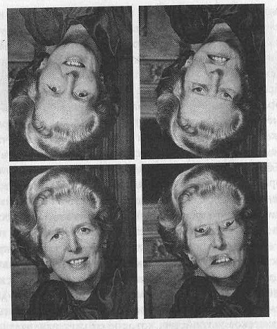 Иллюстрация к книге — Тайны нашего мозга, или Почему умные люди делают глупости [i_007.jpg]