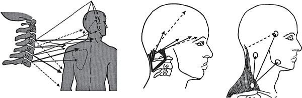 Иллюстрация к книге — Все о позвоночнике для тех, кому за... [_109.jpg]