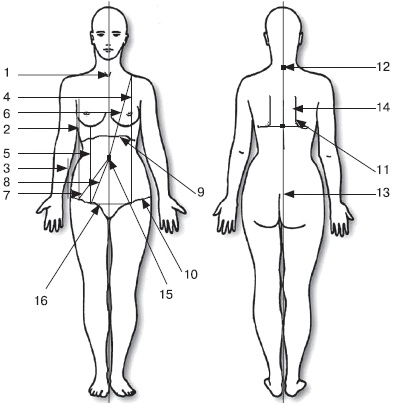 Иллюстрация к книге — Все о позвоночнике для тех, кому за... [_65.jpg]