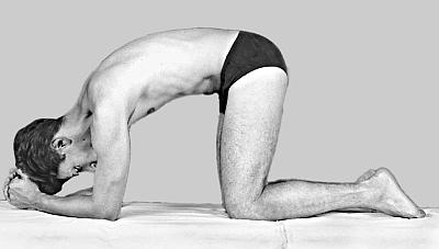 Иллюстрация к книге — Все о позвоночнике для тех, кому за... [_91.jpg]