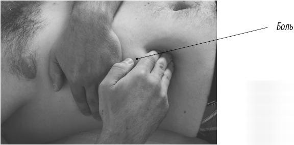 Иллюстрация к книге — Скульптурная гимнастика для мышц, суставов и внутренних органов [Autogen_eBook_id101.jpg]