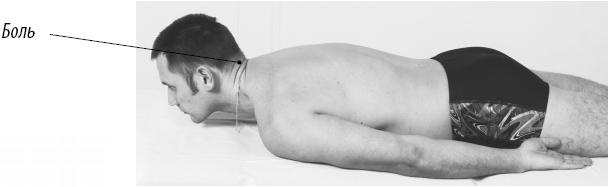 Иллюстрация к книге — Скульптурная гимнастика для мышц, суставов и внутренних органов [Autogen_eBook_id106.jpg]